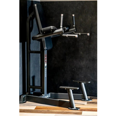 Dip & Knee Raise Station - Evolve Fitness Prime Series PR-215