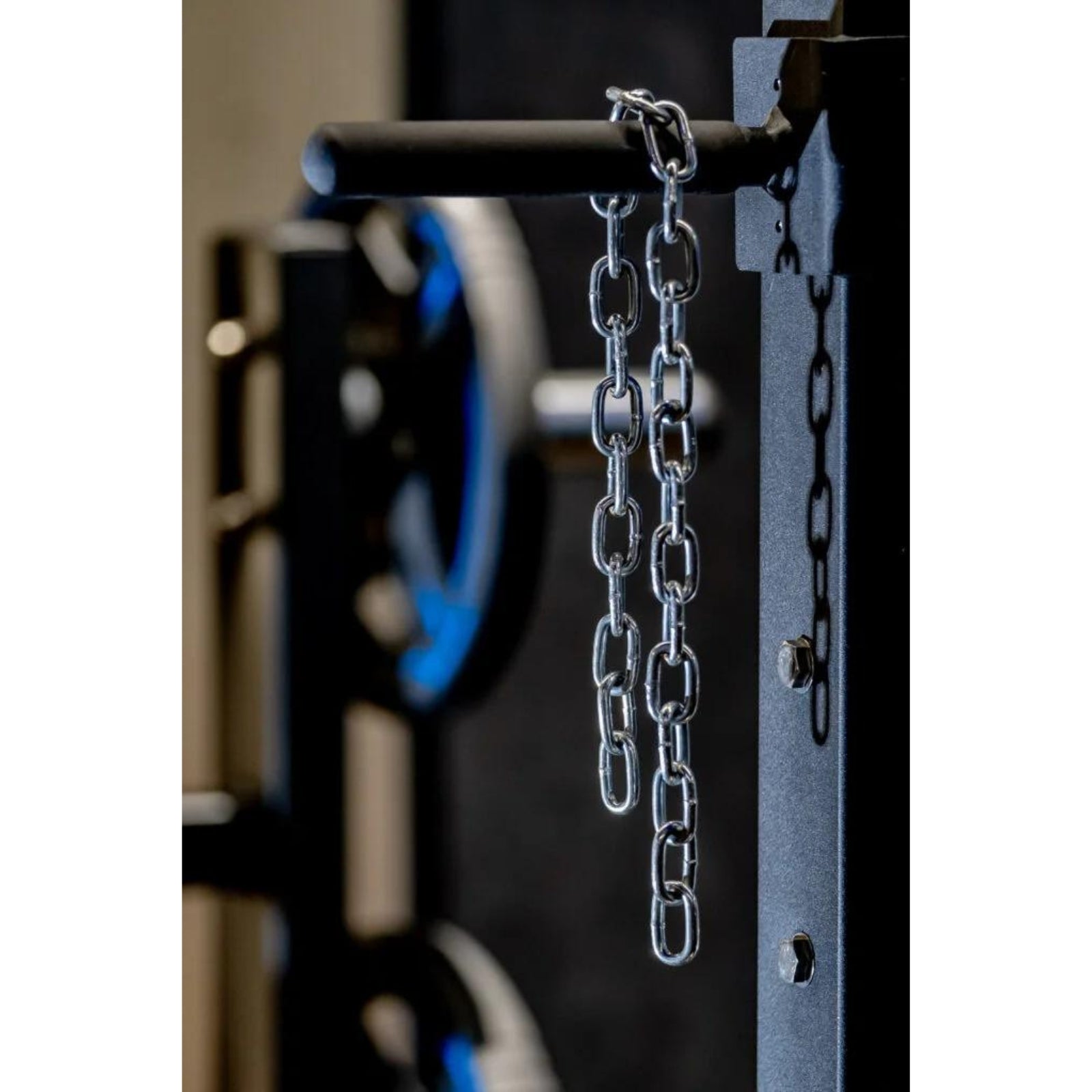 Machine à squats à ceinture - Evolve Fitness Prime Series PR-005 à charge guidée