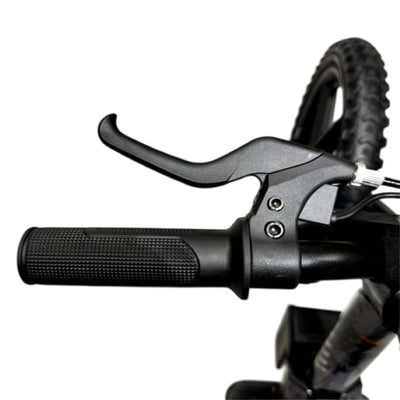 Vélo d'équilibre électrique bleu - Rollzone EBB16 - roues 16 pouces / 24 volts