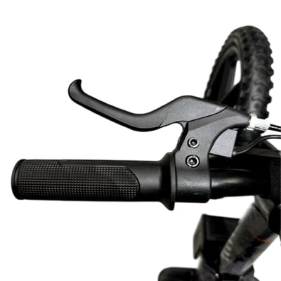 Vélo d'équilibre électrique rouge - Rollzone EBB12 - roues 12 pouces / 24 volts