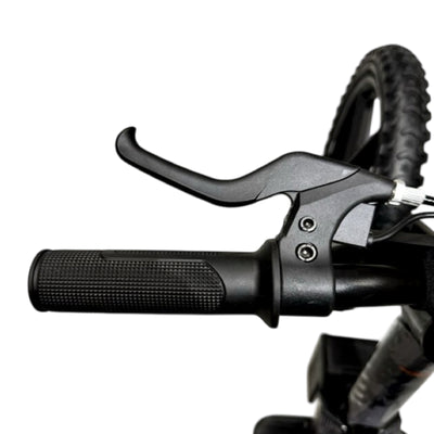 Vélo d'équilibre électrique rose - Rollzone EBB12 - roues 12 pouces / 24 volts