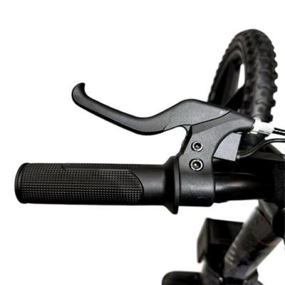 Vélo d'équilibre électrique noir - Rollzone EBB12 - roues 12 pouces / 24 volts