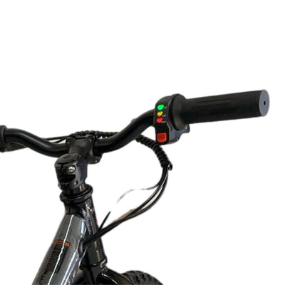 Elektrische Balance Bike Zwart - Rollzone EBB16 - 16 inch wielen / 24 volt