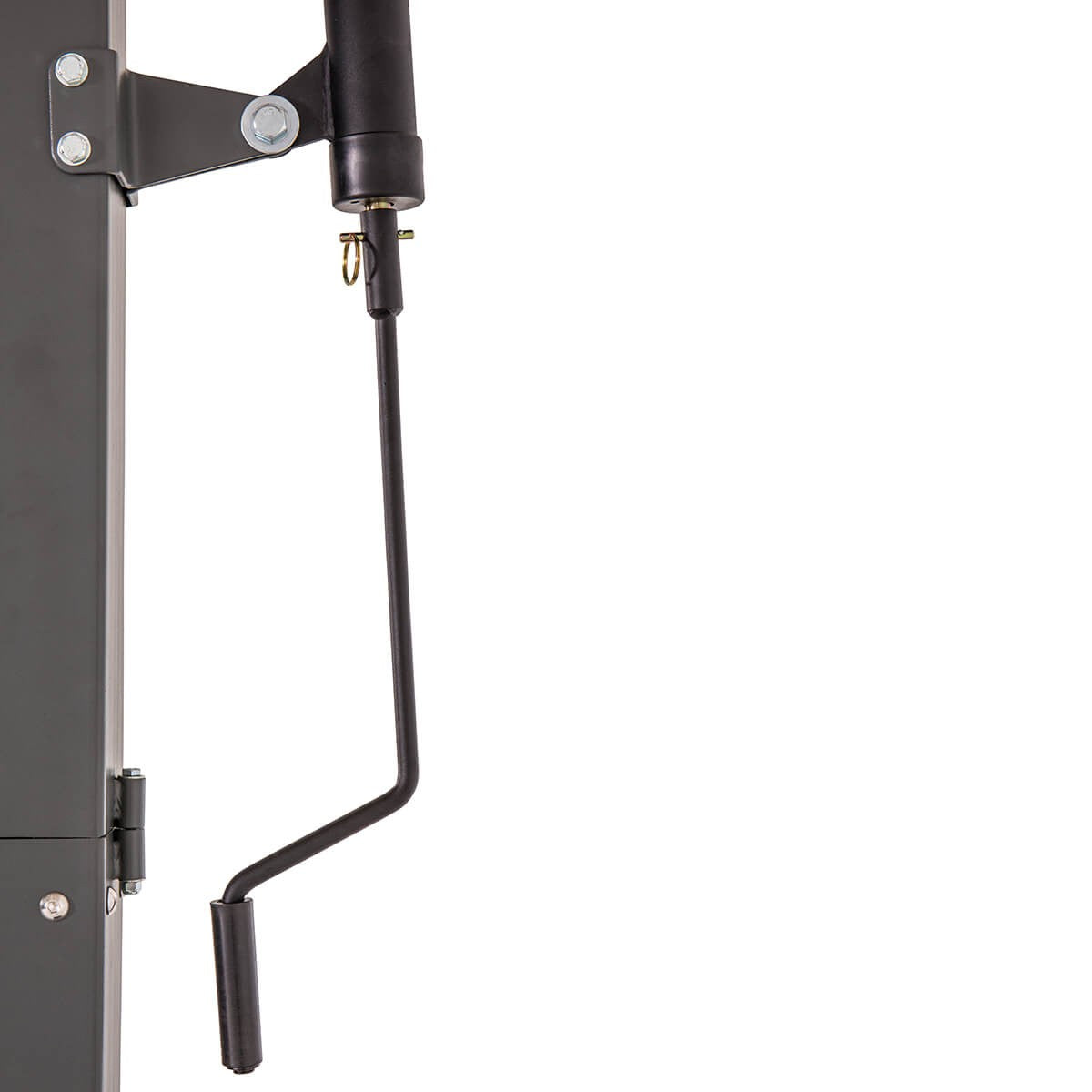 Goaliath GB60 - Basketbalstandaard in de grond verankerd - gratis Mikasa bal