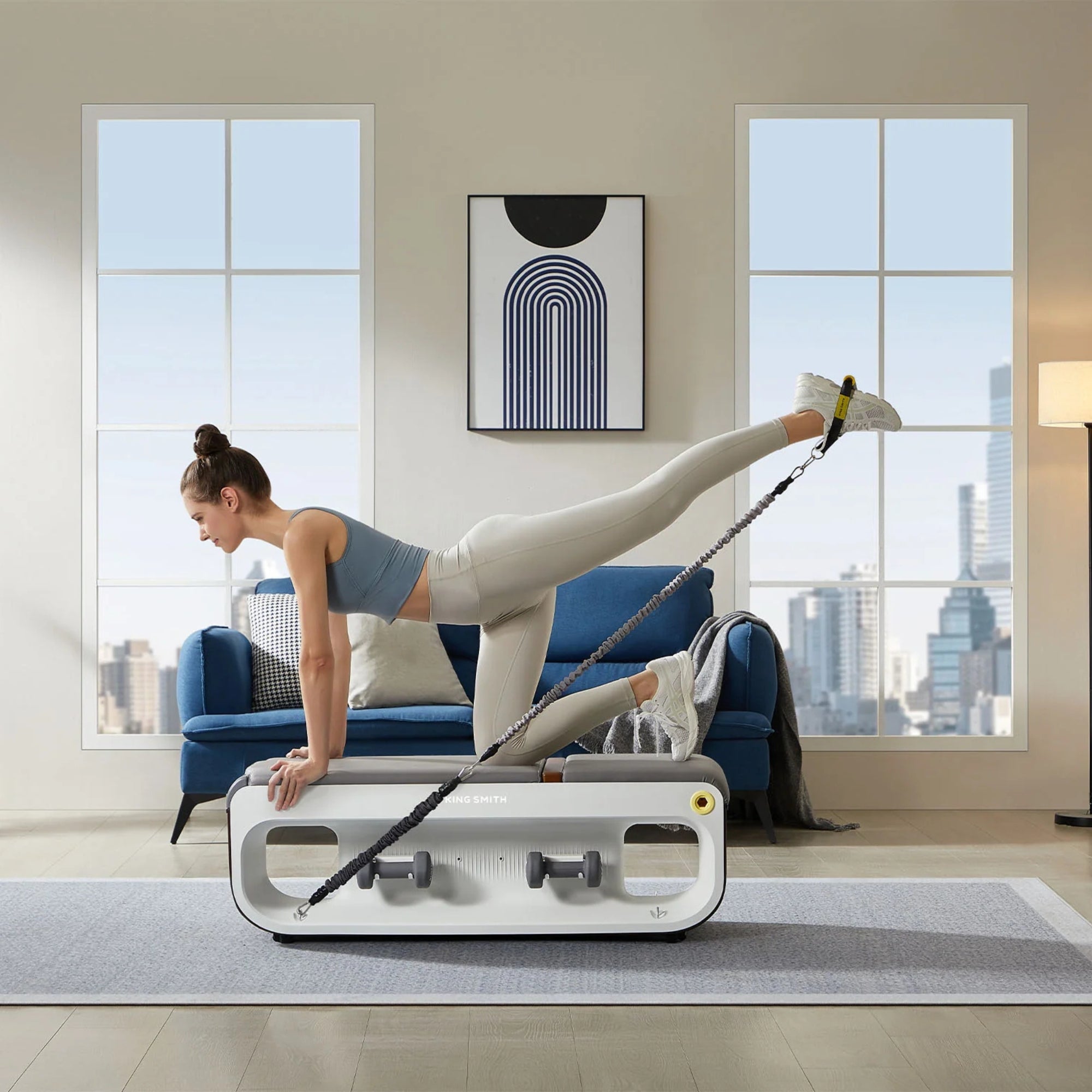 KingSmith WalkingPad multifunctionele trainingsbank met kabels