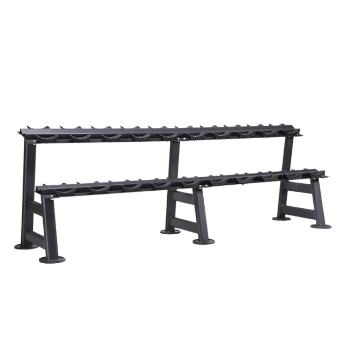 Tweelaags dumbbell opslagrek - Evolve Fitness DR-100