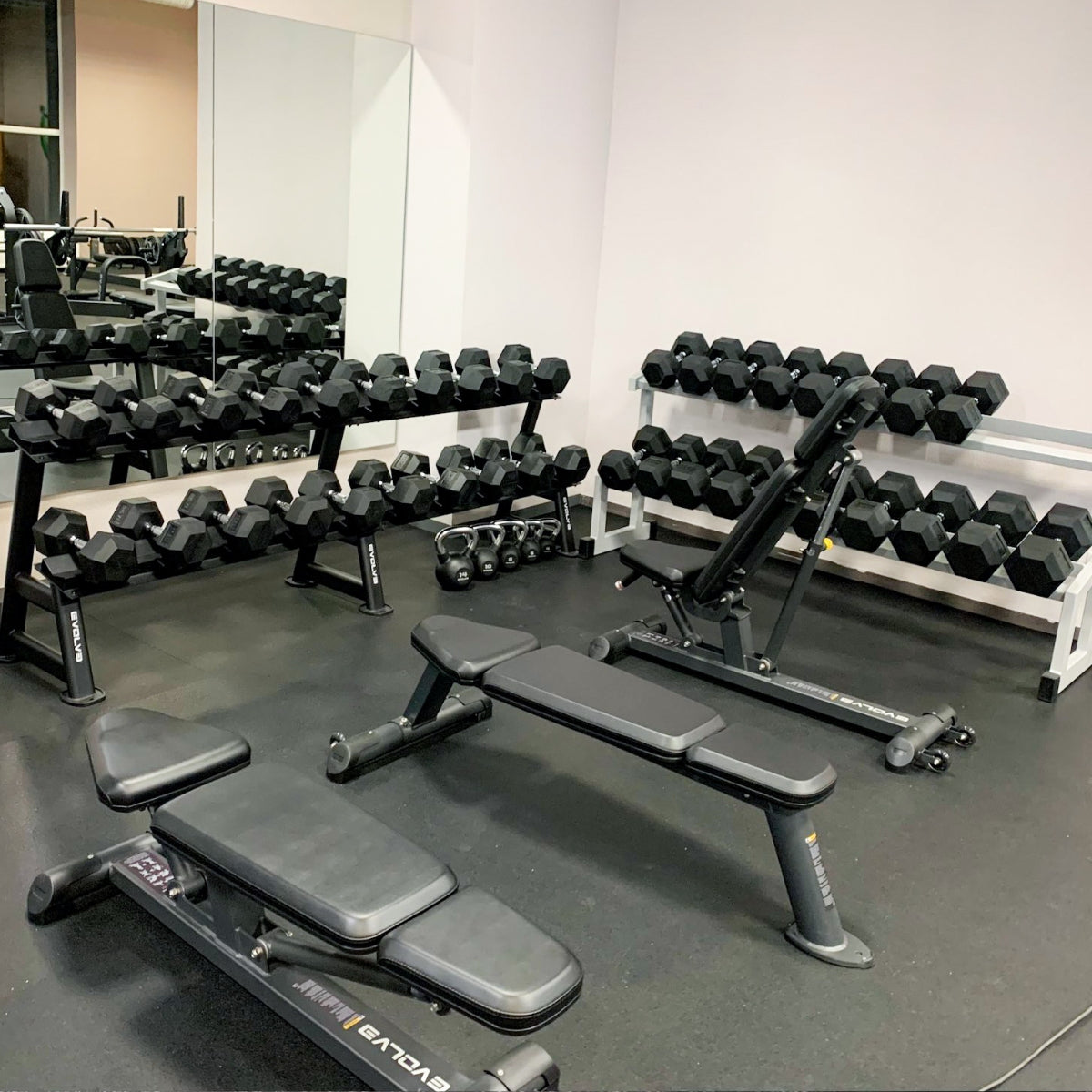 Flat Bench - Evolve Fitness Prime Series PR-201