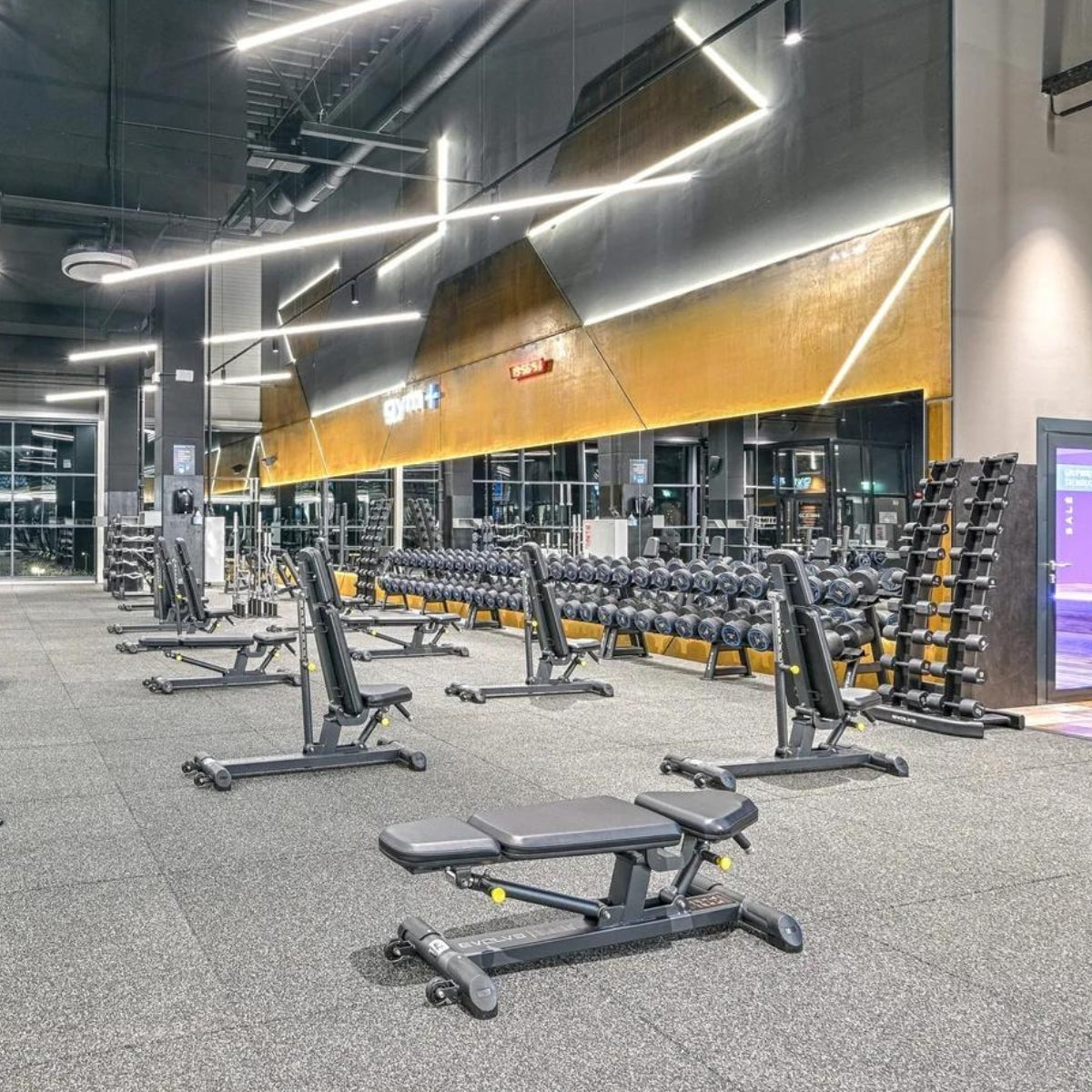 Verstelbare halterbank - Evolve Fitness Prime Series PR-204 Adjustable Bench