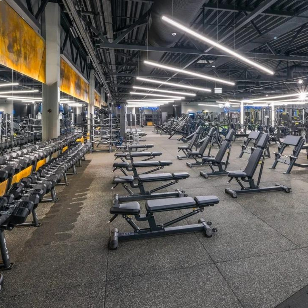 Verstelbare halterbank - Evolve Fitness Prime Series PR-204 Adjustable Bench