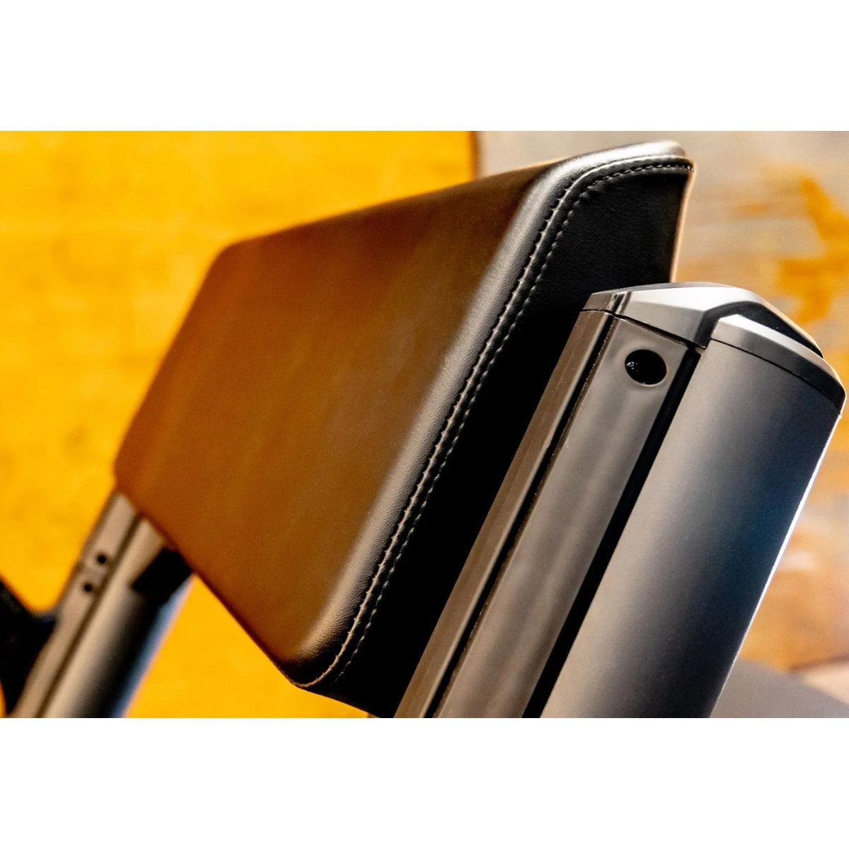 Biceps Bank - Evolve Fitness Prime Series PR-206