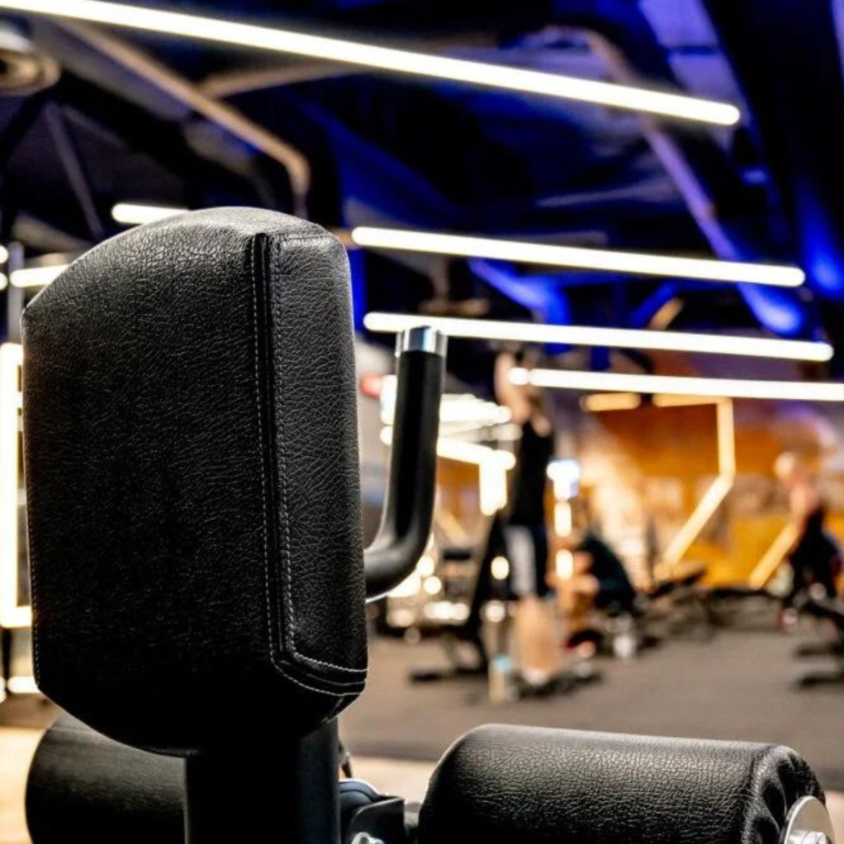 Dynamische Rudermaschine mit hoher Auflage – Evolve Fitness Ultra Series UL-290 mit Gewichtsscheiben