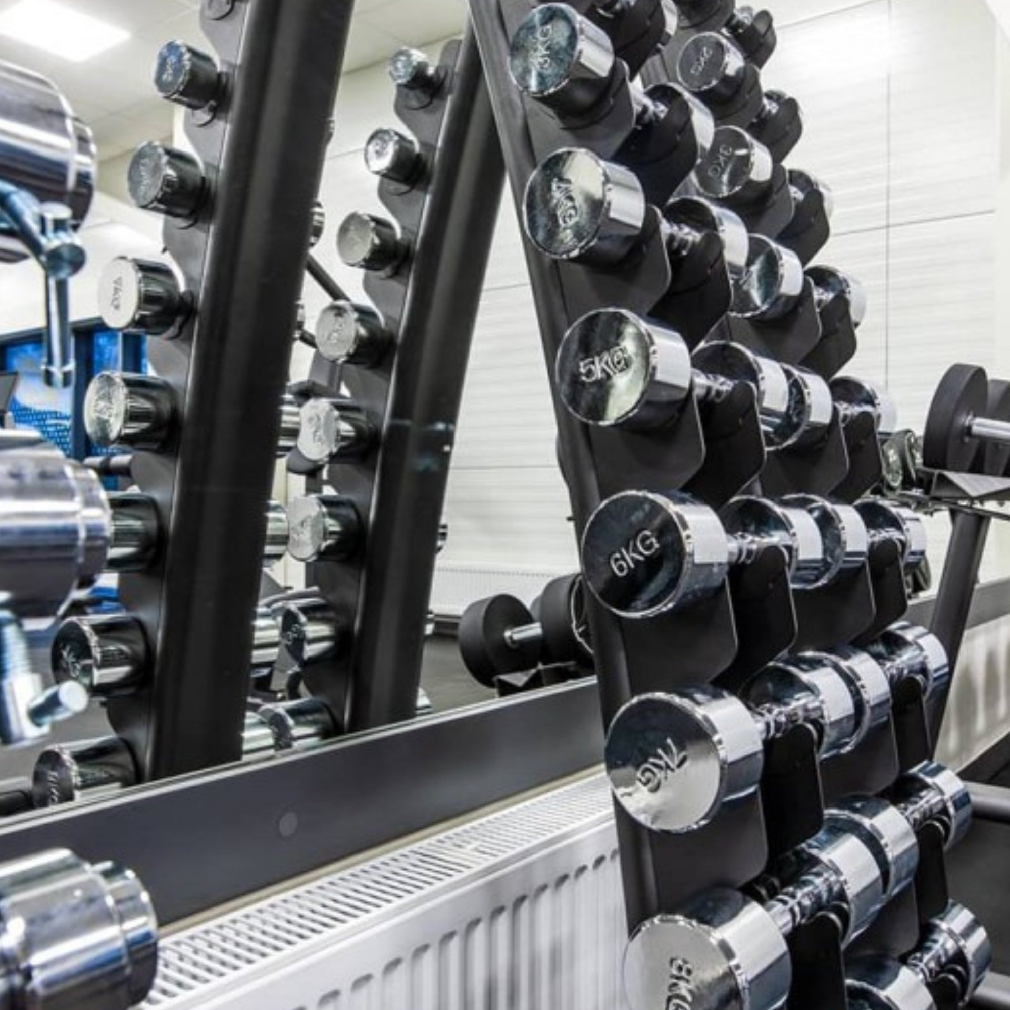 Evolve Fitness chrome dumbbell set met 10 stuks premium halters - 1-10 kg