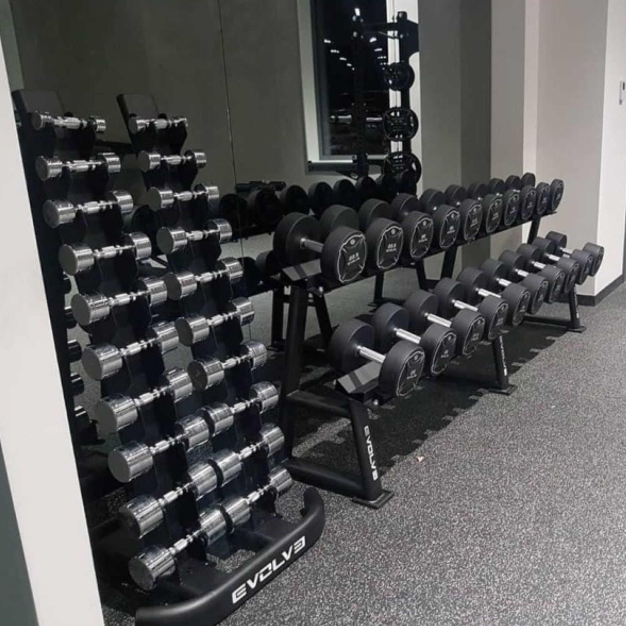 Evolve Fitness chrome dumbbell set met 10 stuks premium halters - 1-10 kg