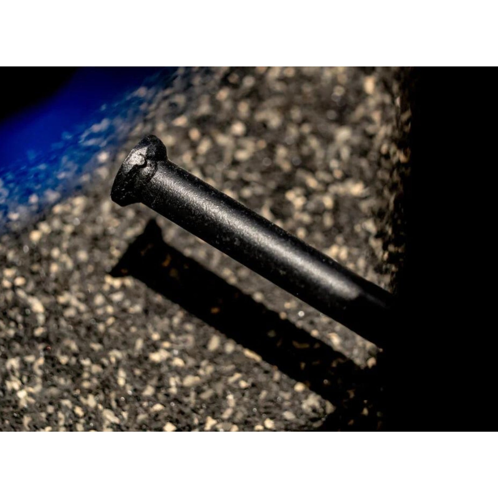 Belt Squat Machine - Evolve Fitness Prime Series PR-005 Plate Loaded