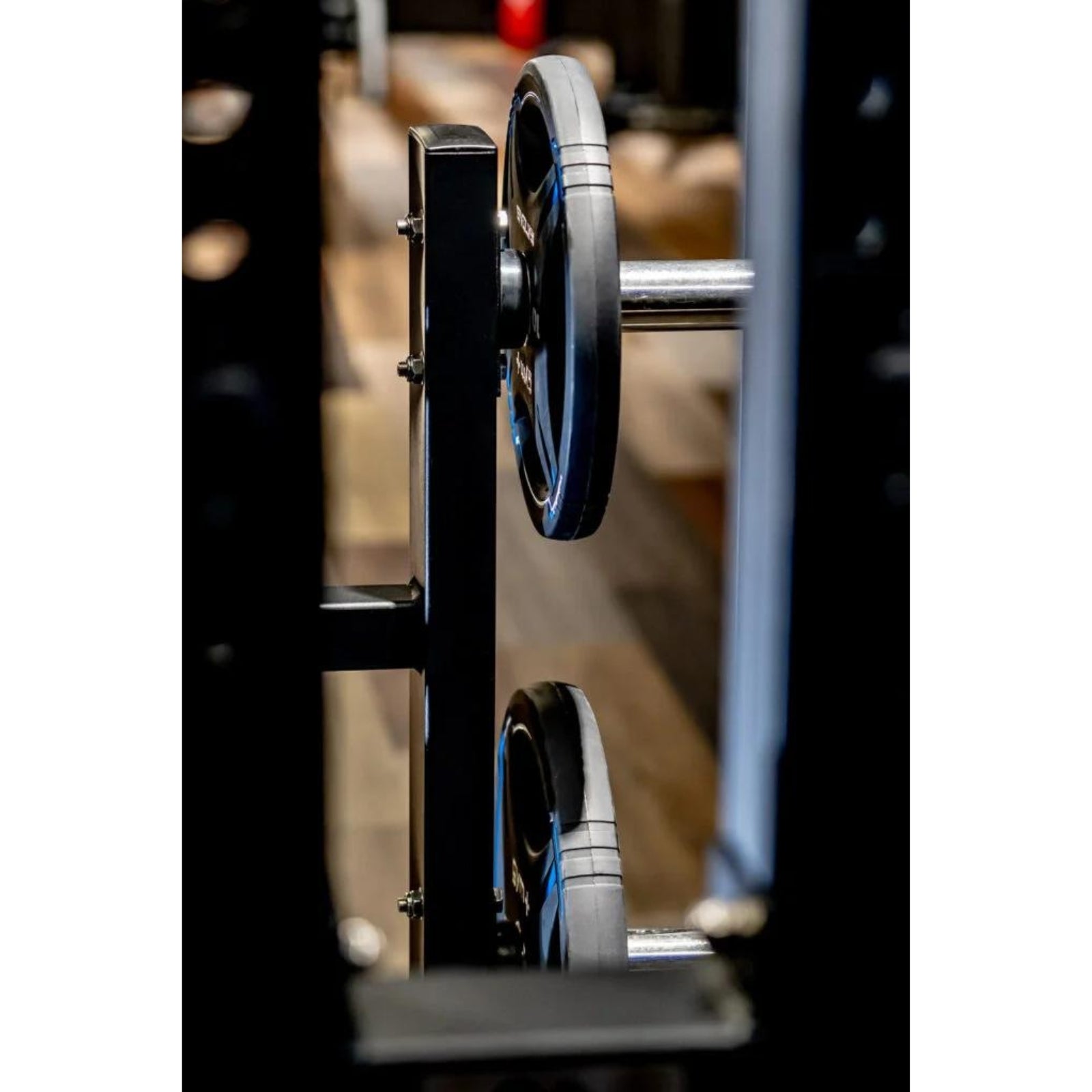 Belt Squat Machine - Evolve Fitness Prime Series PR-005 Plate Loaded