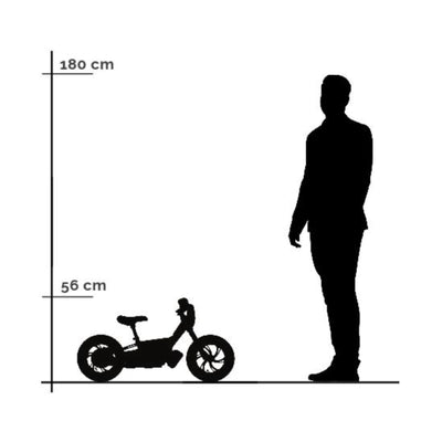 Elektrische Balance Bike Groen - Rollzone EBB12 - 12 inch wielen / 24 volt