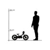 Elektrische Balance Bike Zwart - Rollzone EBB16 - 16 inch wielen / 24 volt
