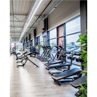 Buikspierbank - Evolve Fitness Prime Series PR-218