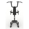 Power Tower Dip & Pull Station - Evolve Fitness Prime Series PR-219