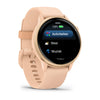Garmin Vivoactive 6 - Health & fitness smartwatch - Pink Dawn
