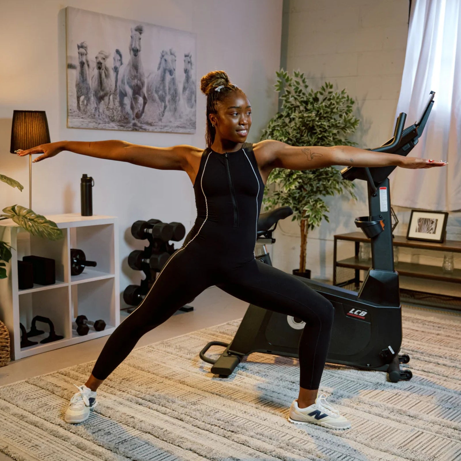 Sole Fitness LCB hometrainer - nieuwste model