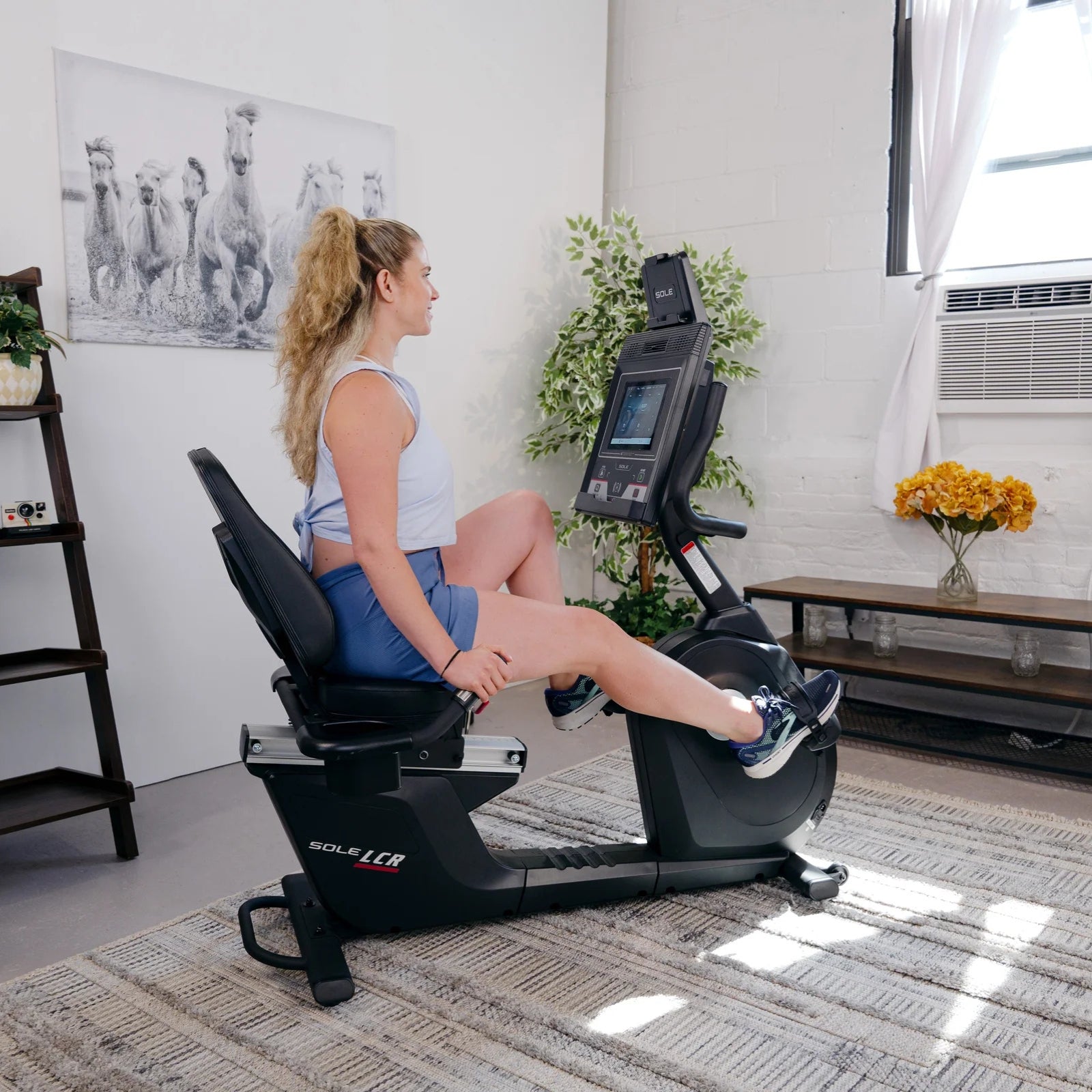 Vélo d'exercice allongé Sole Fitness LCR avec console de divertissement - dernier modèle