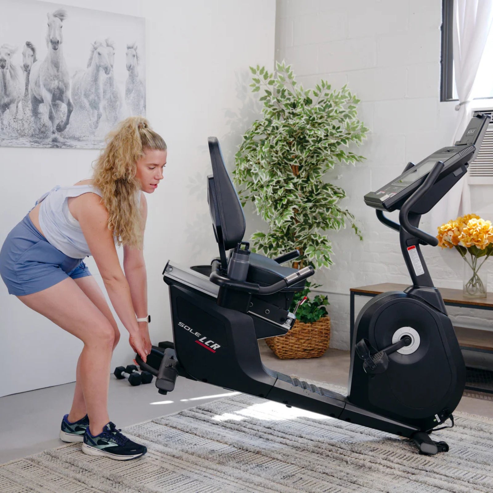 Vélo d'exercice allongé Sole Fitness LCR avec console de divertissement - dernier modèle