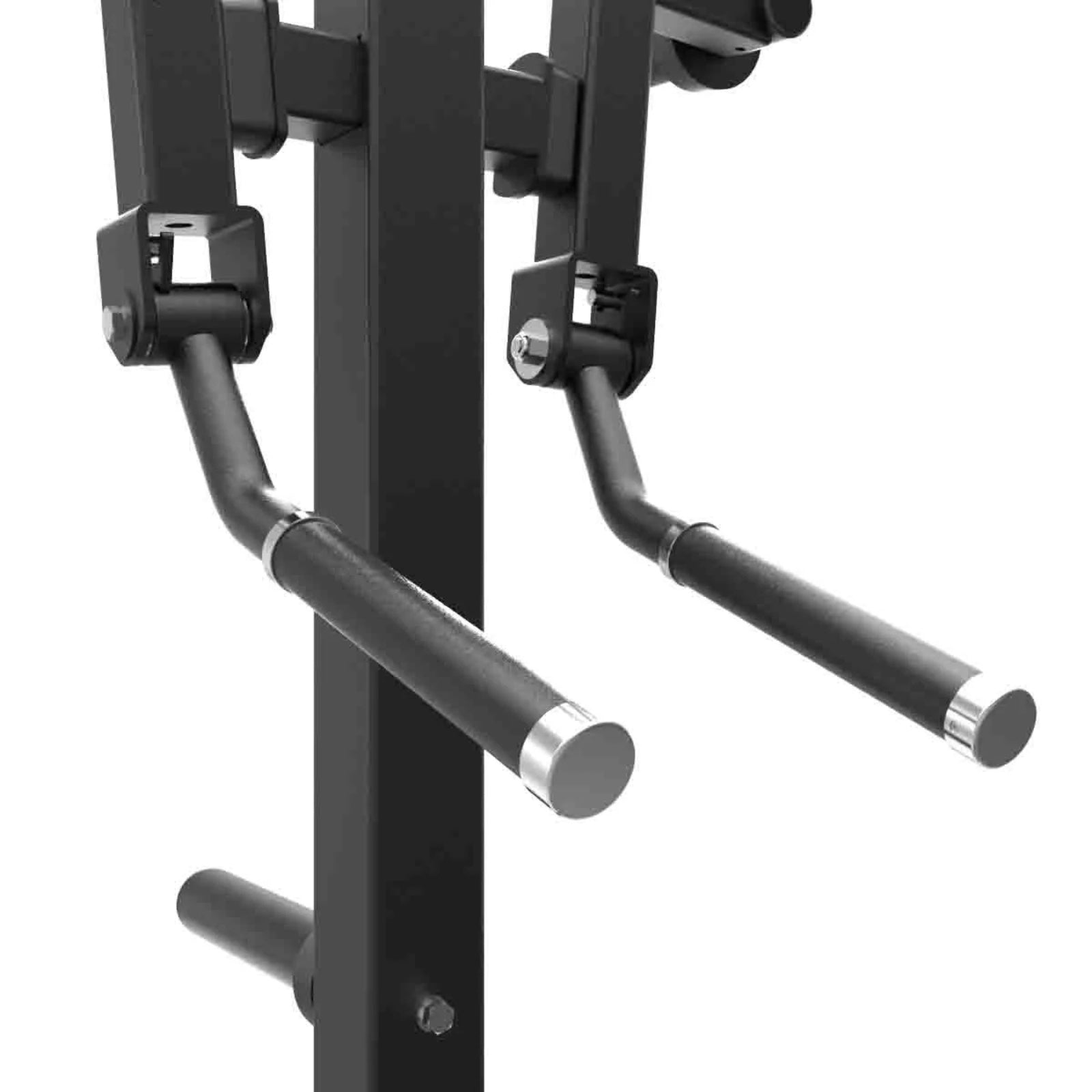 Standing Lateral Raise Machine - Evolve Fitness Econ Series PL-EC-020 Plate Loaded